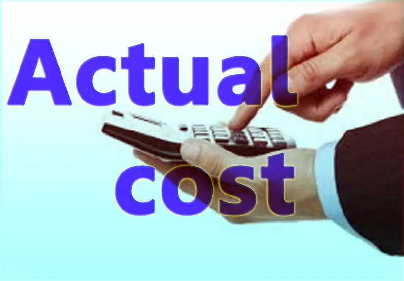 Actual Price Actual Price
