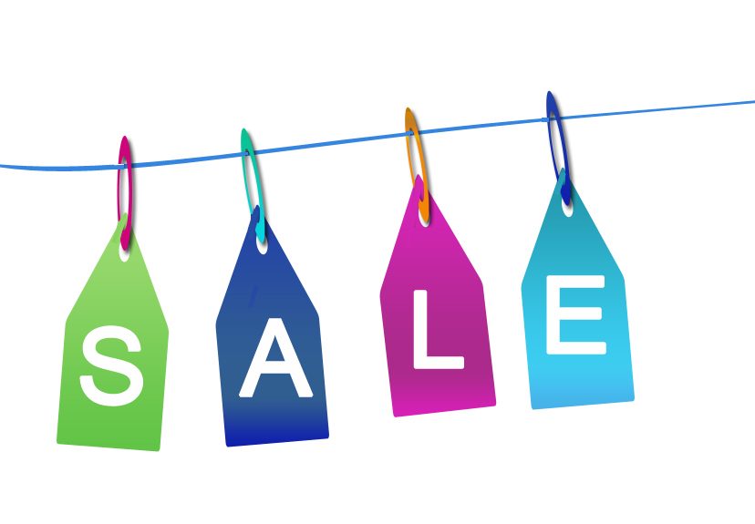 Net sale - ERP Information