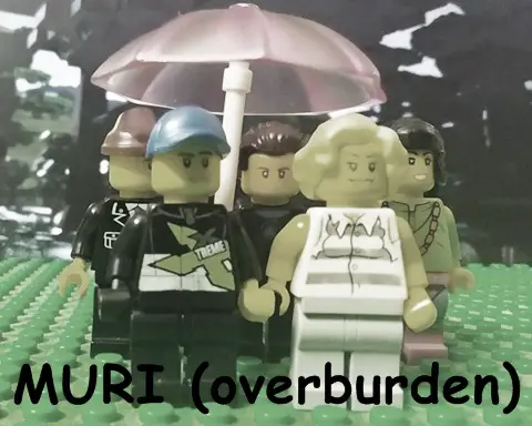 MURI