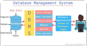 features of dbms