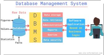 features of dbms