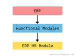 ERP HR Module and 6 essential submodules (HRMS, HCM, HRIS)
