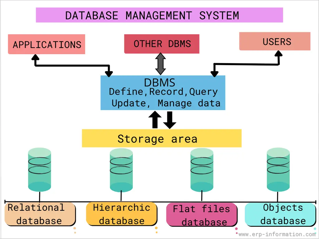 Structure of Database Management System