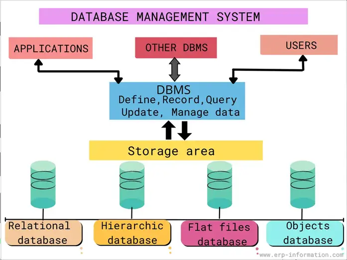 Structure of Database Management System