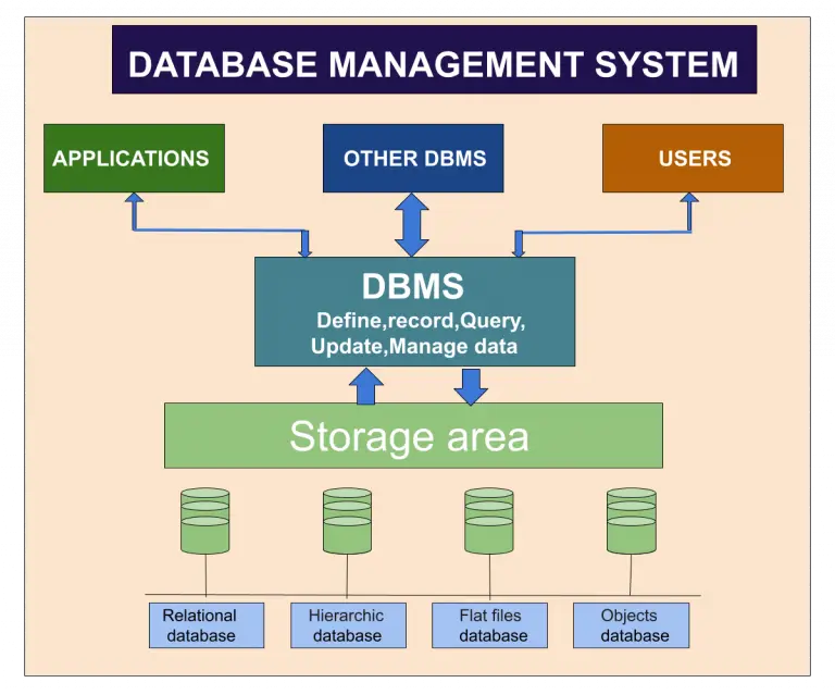 thesis about database management system