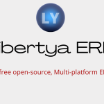 Libertya ERP Details