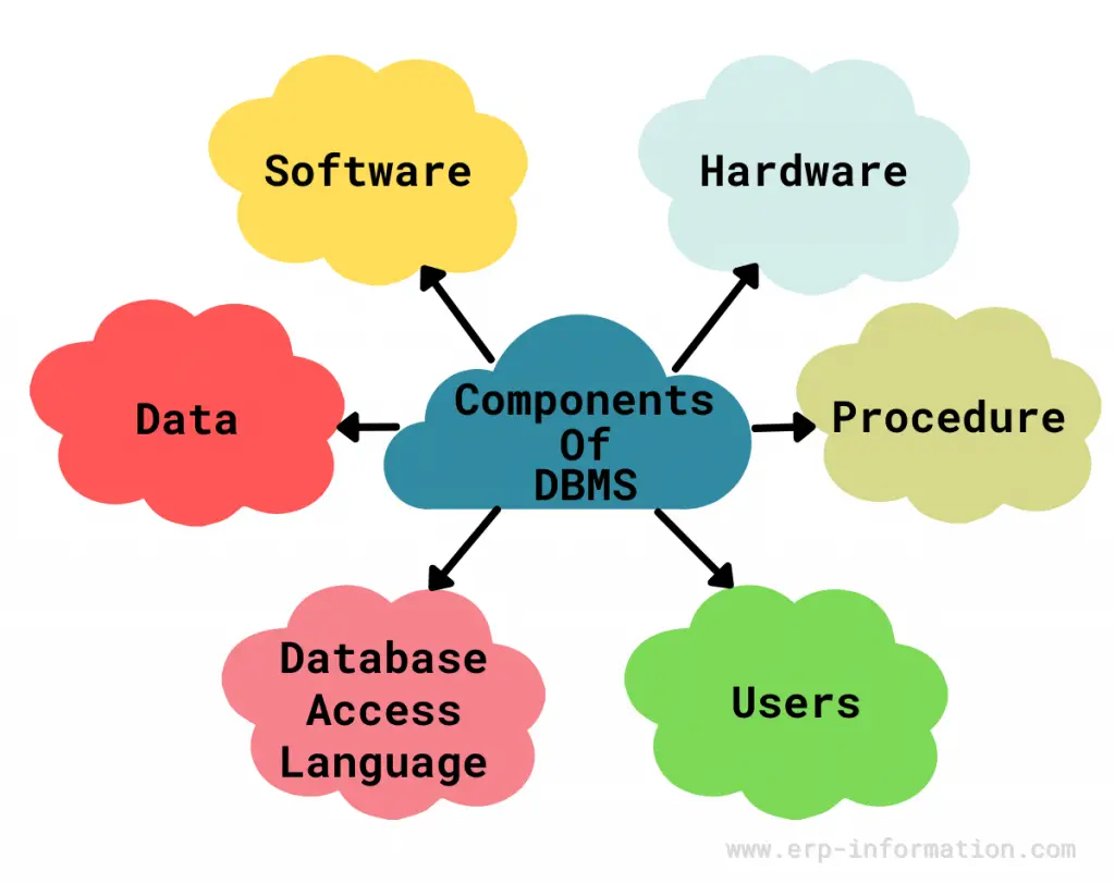 Components of DBMS
