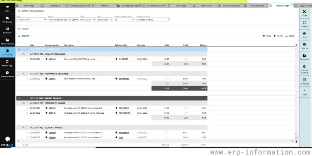 ERPAG Accounting Report Parameters