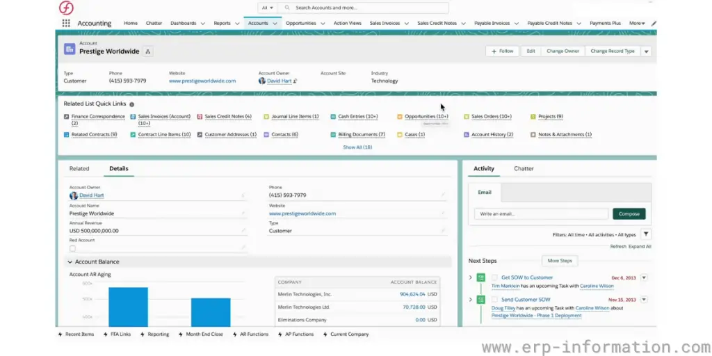 FinancialForce Accounting Details