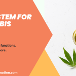 ERP System for Cannabis Details (Best Software Solutions)