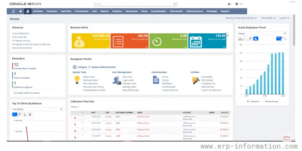 Oracle NetSuite Dashboard