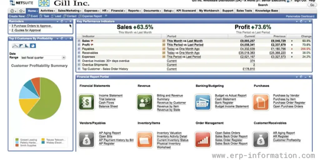 Expense report of NetSuite