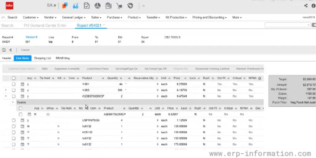 Report Sheets of Infor