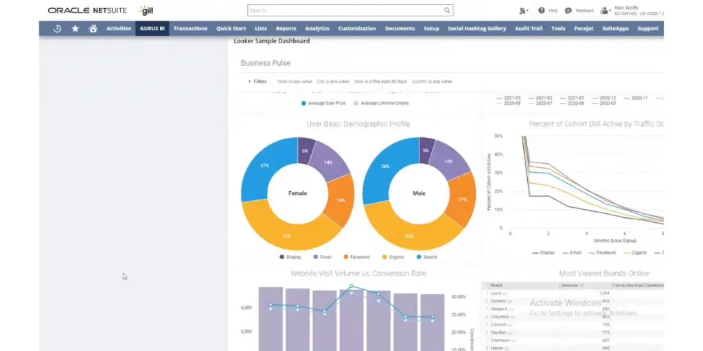 BI Oracle NetSuite