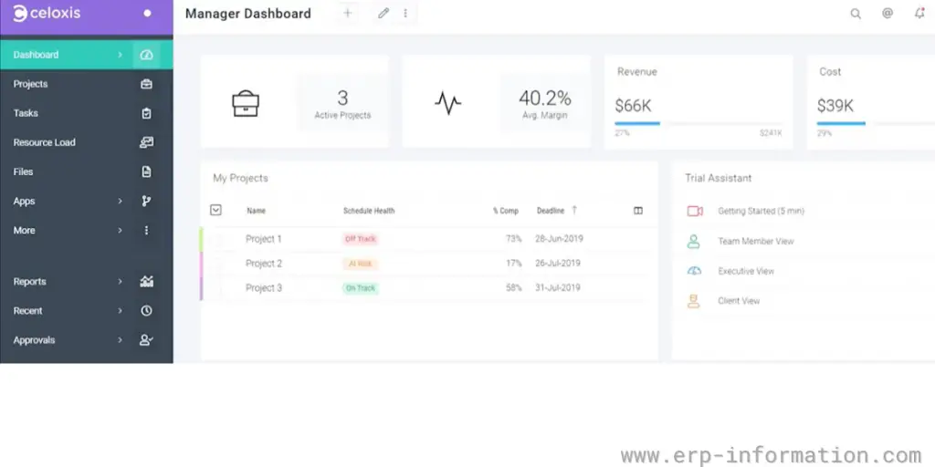 Manager dashboard of Celoxis