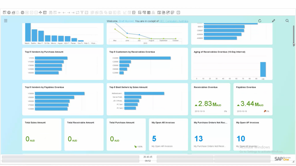 Dashboard of Sap Business One