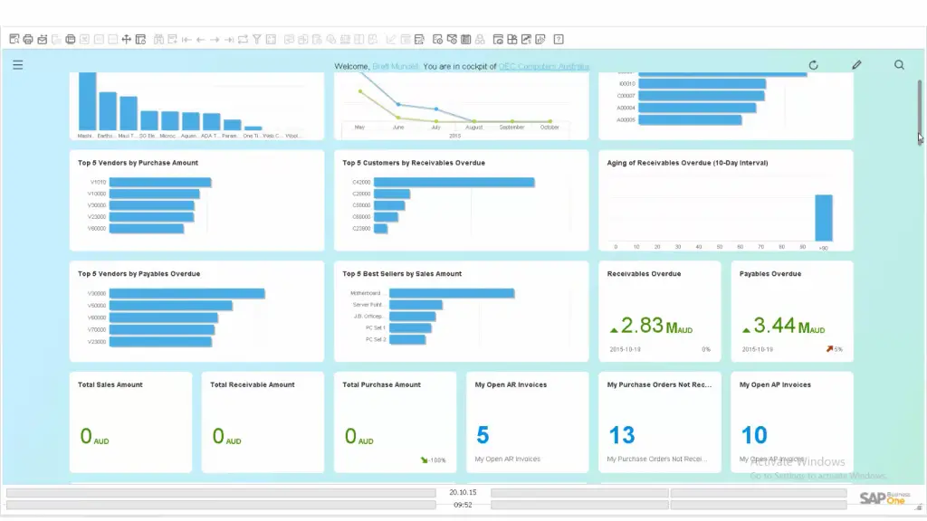 Dashboard of Sap Business One