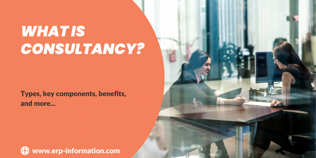 What is Consultancy?