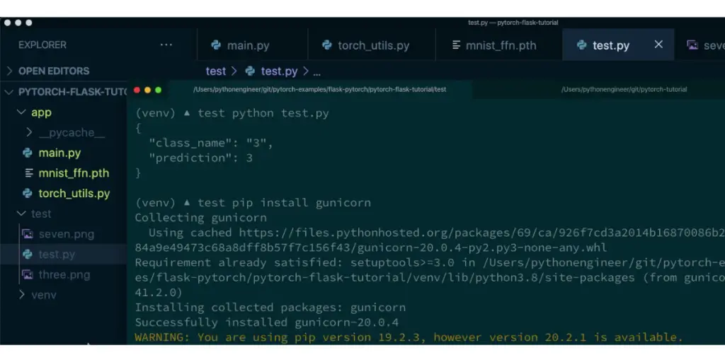 Testing view of PyTorch