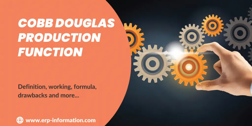 Cobb Douglas Production Function