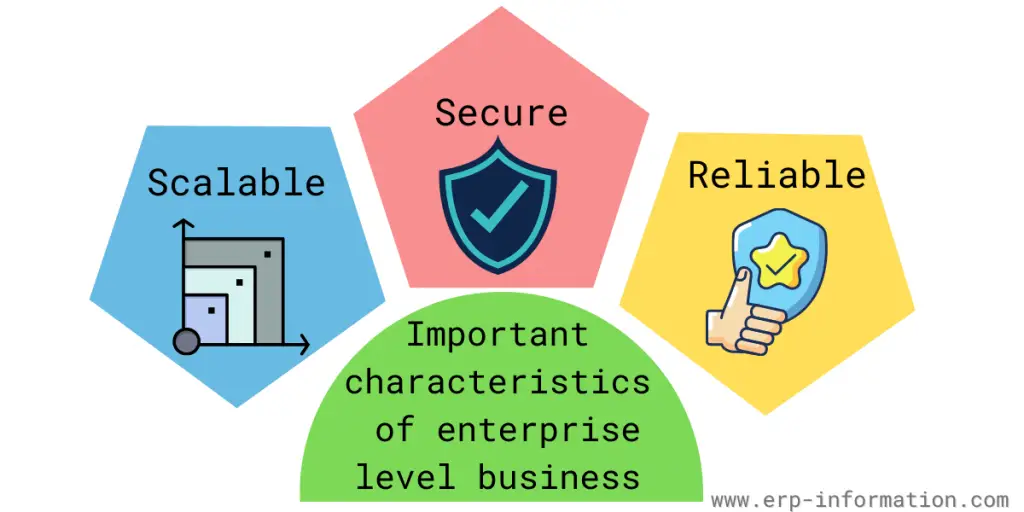 Characteristics of an Enterprise-level Business