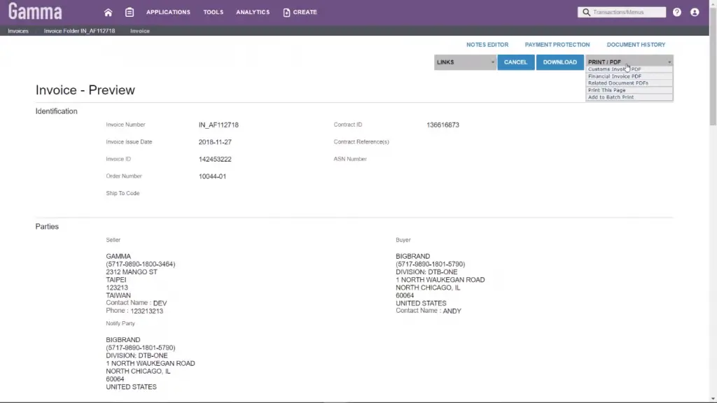 Infor Invoice Preview