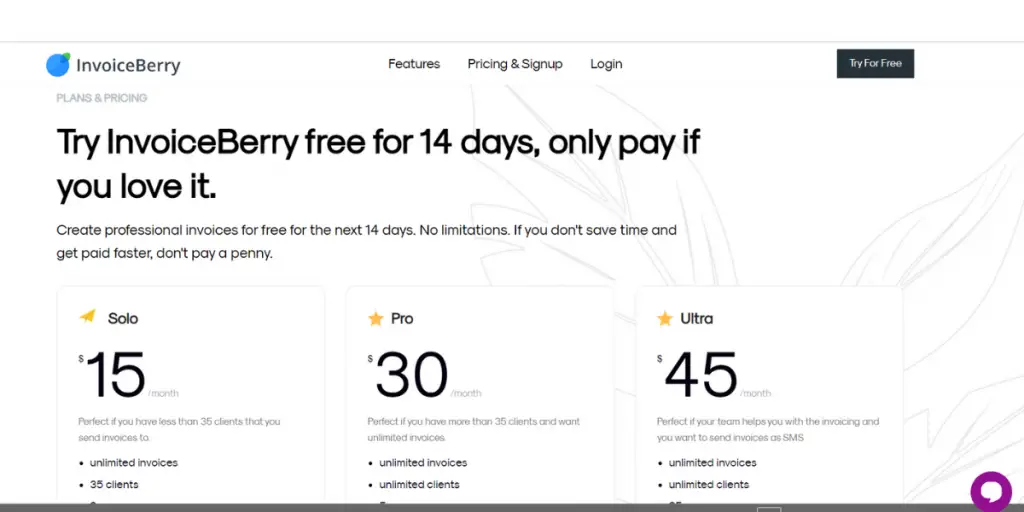 Pricing of InvoiceBerry