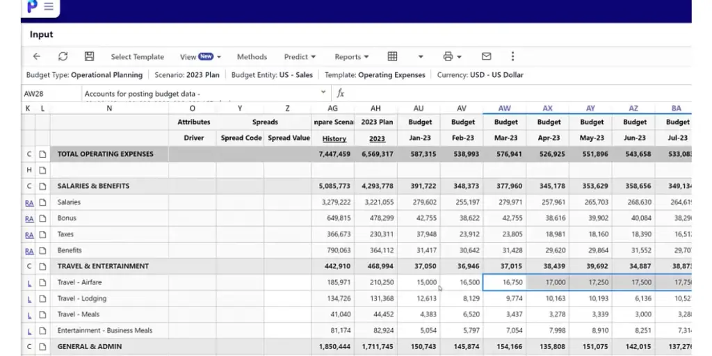 Input page of Planful