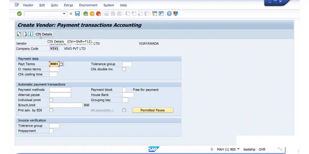 SAP Payment Transactions