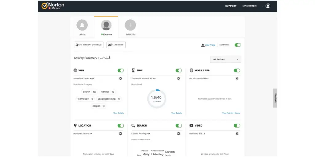 Activity Summary of Norton