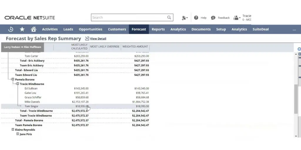 NetSuite Analytics