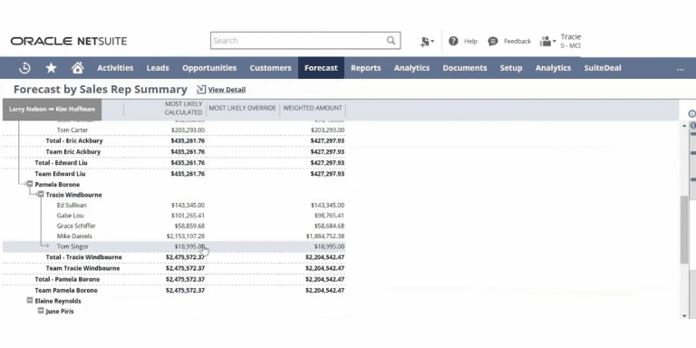 What is NetSuite ERP? (Pricing and Features Overview)