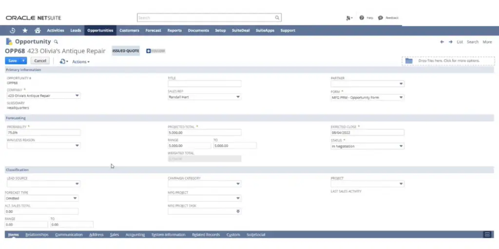 NetSuite Customer Relationship Management