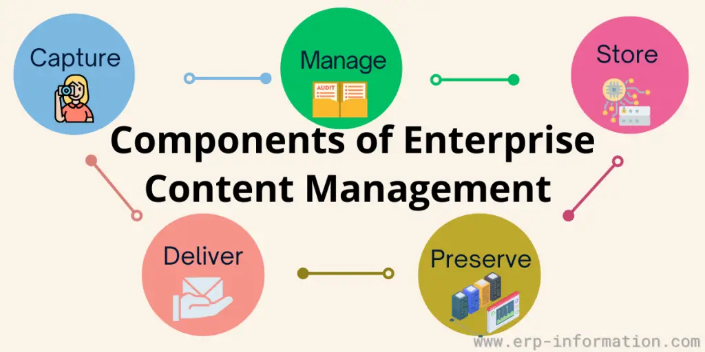 Components of ECM