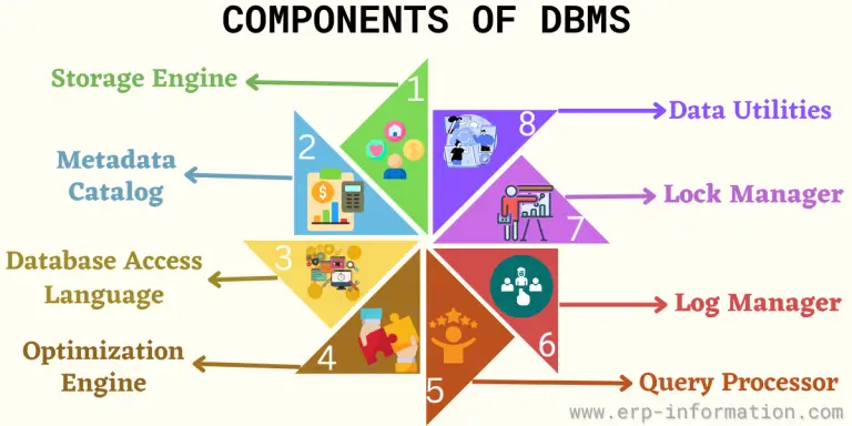 What is Database Management System (DBMS)? - Examples, Components