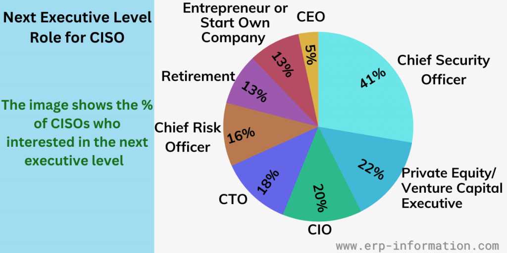 Next Executive Level Role for CISO