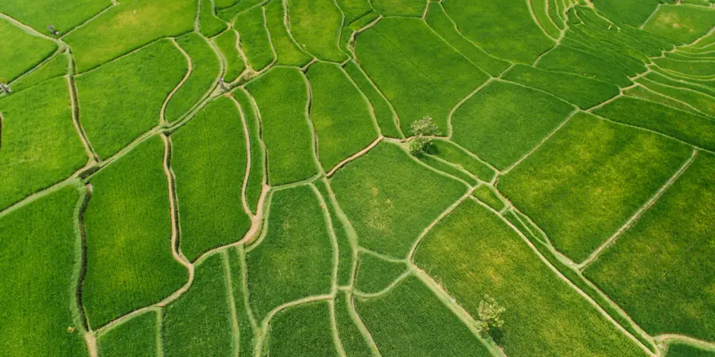 agricultural drones